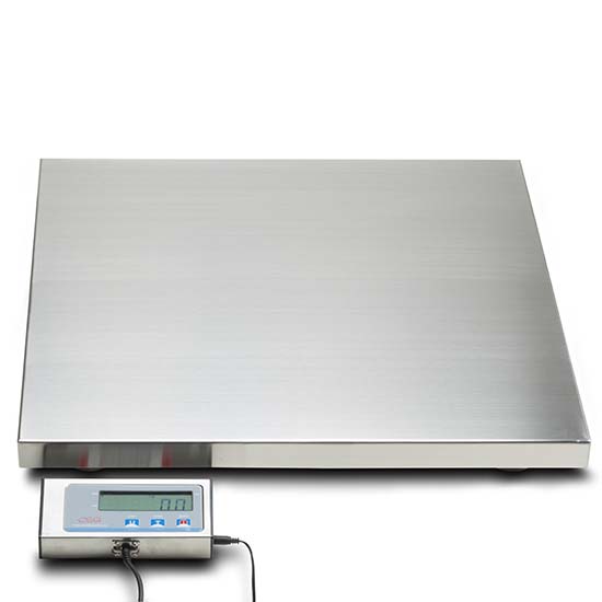 Baggage Scales